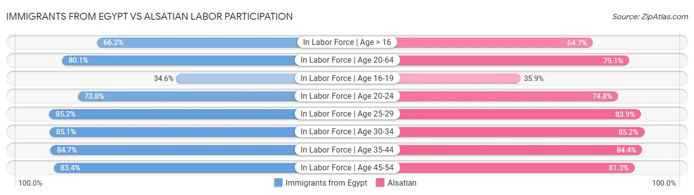 Immigrants from Egypt vs Alsatian Labor Participation