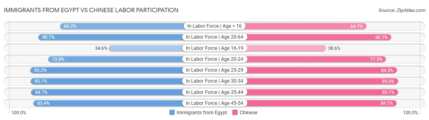 Immigrants from Egypt vs Chinese Labor Participation