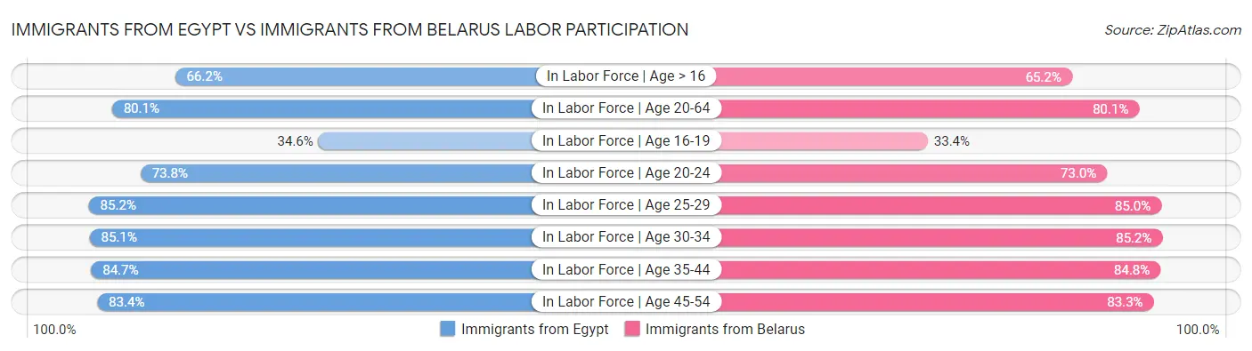 Immigrants from Egypt vs Immigrants from Belarus Labor Participation
