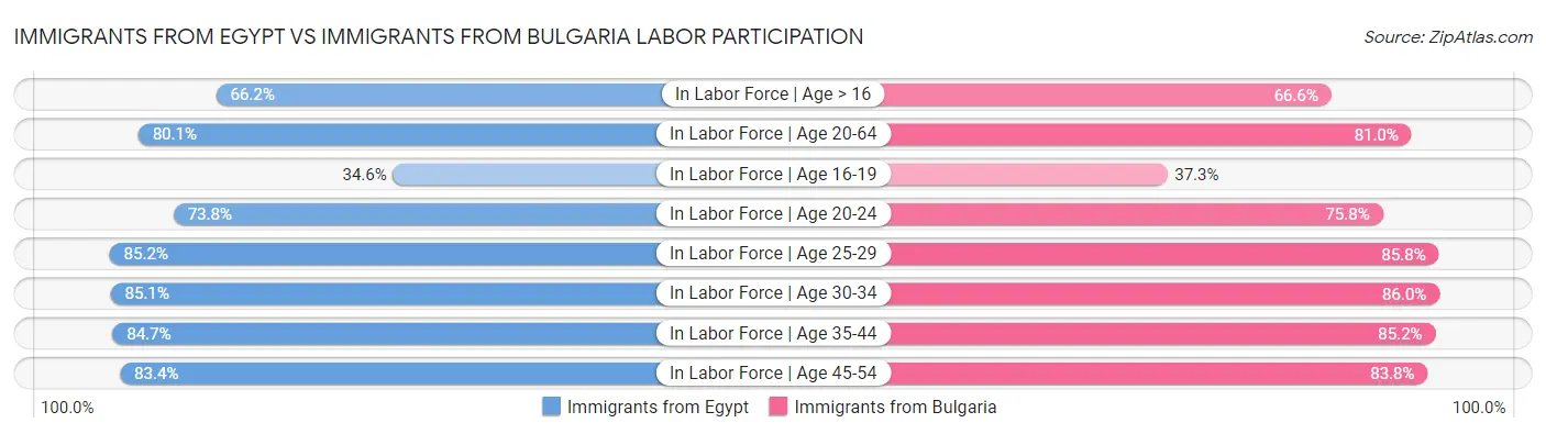 Immigrants from Egypt vs Immigrants from Bulgaria Labor Participation