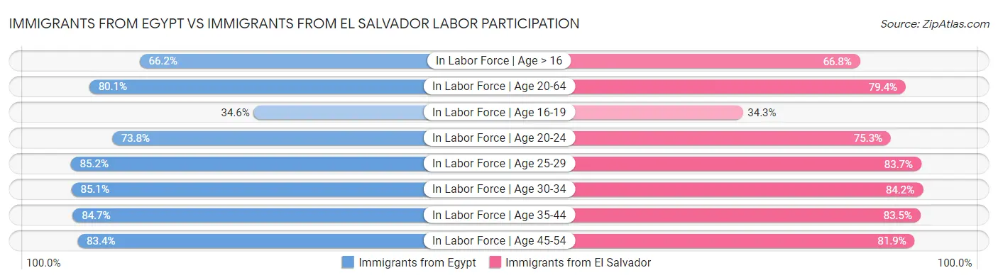 Immigrants from Egypt vs Immigrants from El Salvador Labor Participation