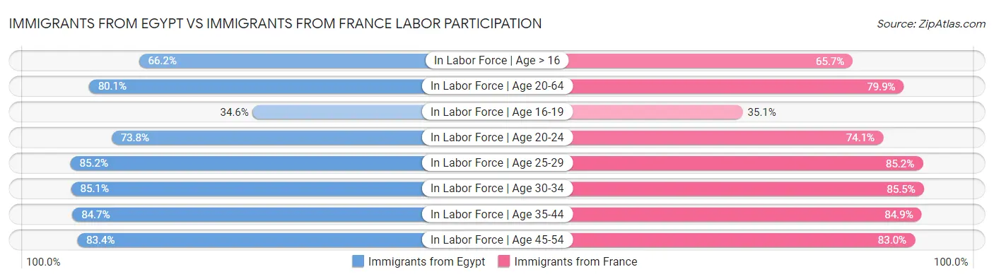 Immigrants from Egypt vs Immigrants from France Labor Participation