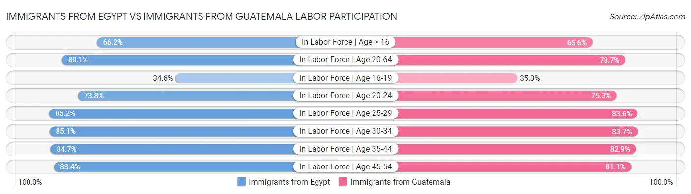 Immigrants from Egypt vs Immigrants from Guatemala Labor Participation