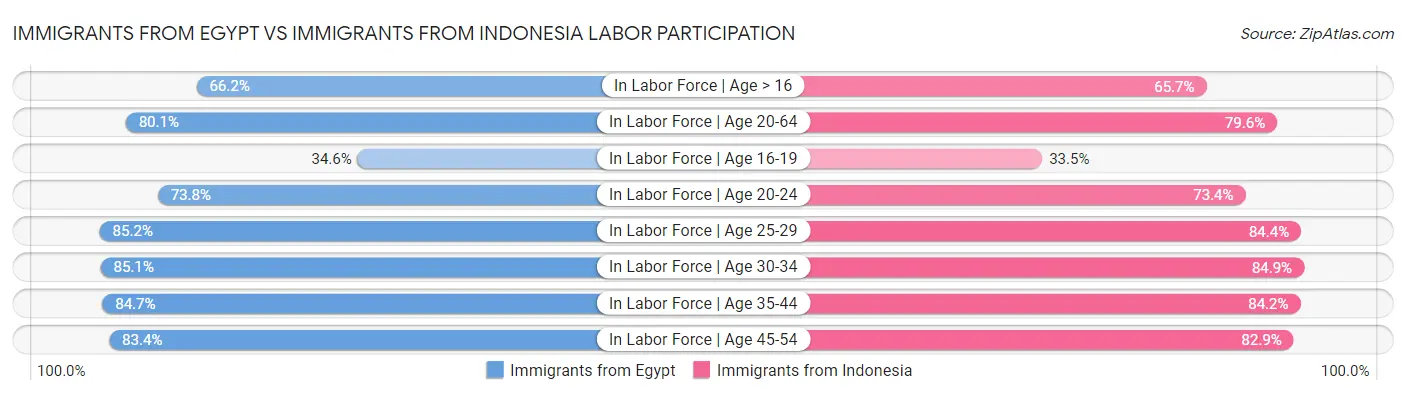 Immigrants from Egypt vs Immigrants from Indonesia Labor Participation