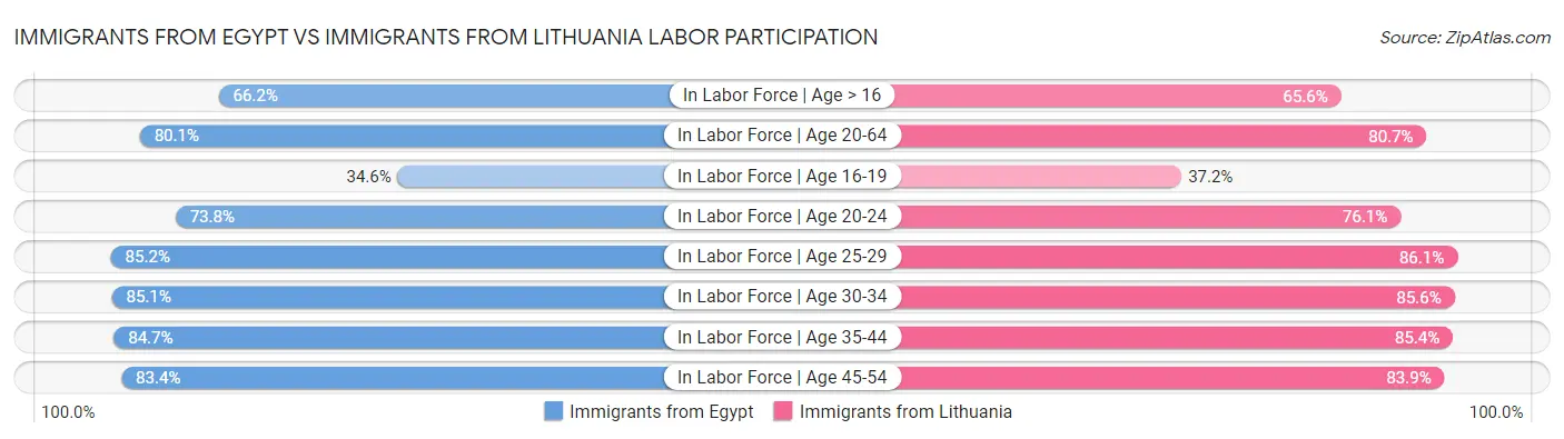 Immigrants from Egypt vs Immigrants from Lithuania Labor Participation