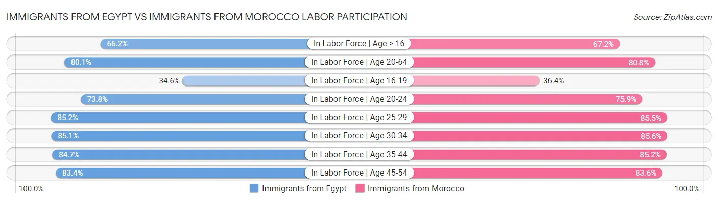 Immigrants from Egypt vs Immigrants from Morocco Labor Participation