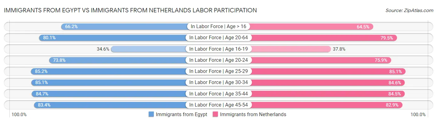 Immigrants from Egypt vs Immigrants from Netherlands Labor Participation