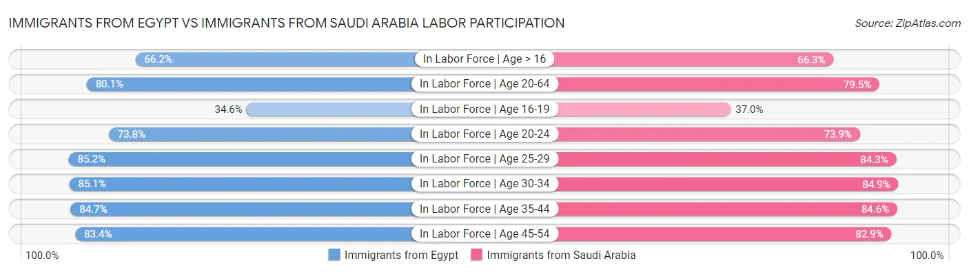 Immigrants from Egypt vs Immigrants from Saudi Arabia Labor Participation