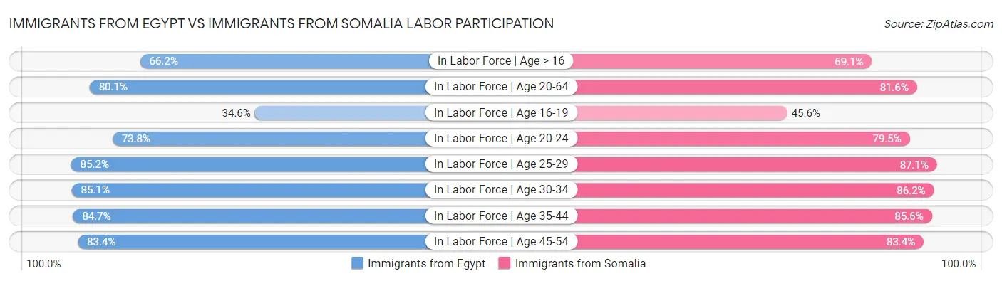 Immigrants from Egypt vs Immigrants from Somalia Labor Participation