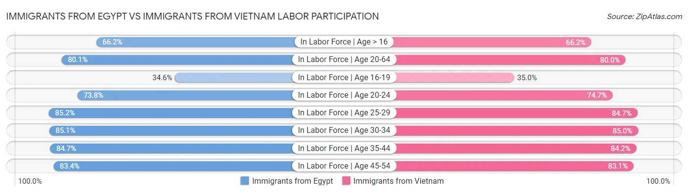 Immigrants from Egypt vs Immigrants from Vietnam Labor Participation