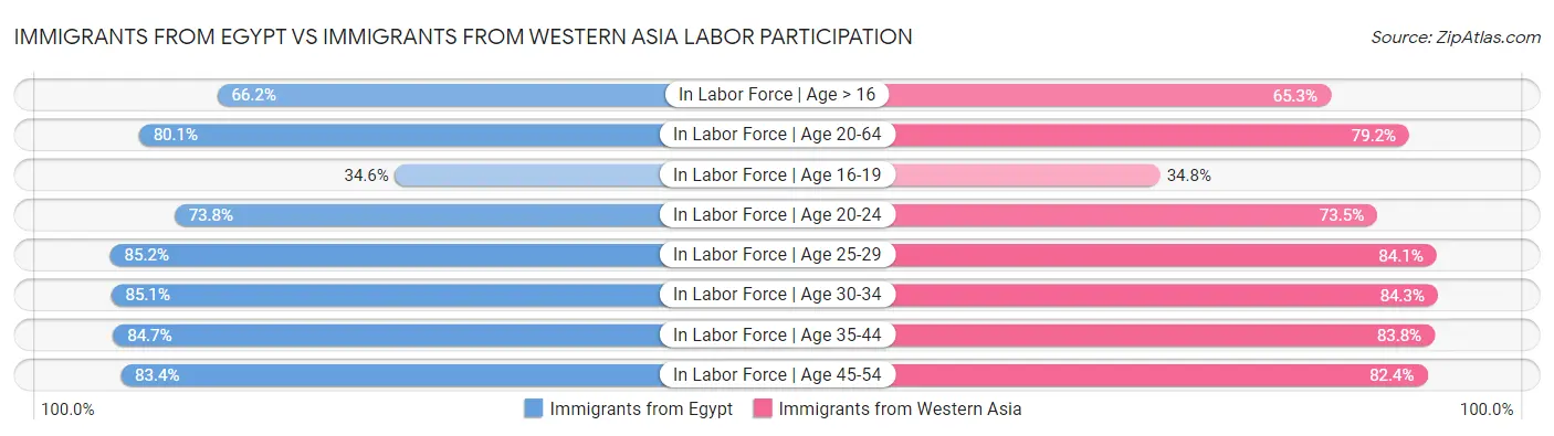 Immigrants from Egypt vs Immigrants from Western Asia Labor Participation
