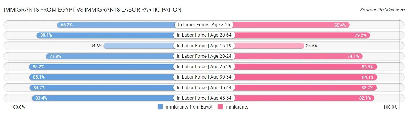 Immigrants from Egypt vs Immigrants Labor Participation