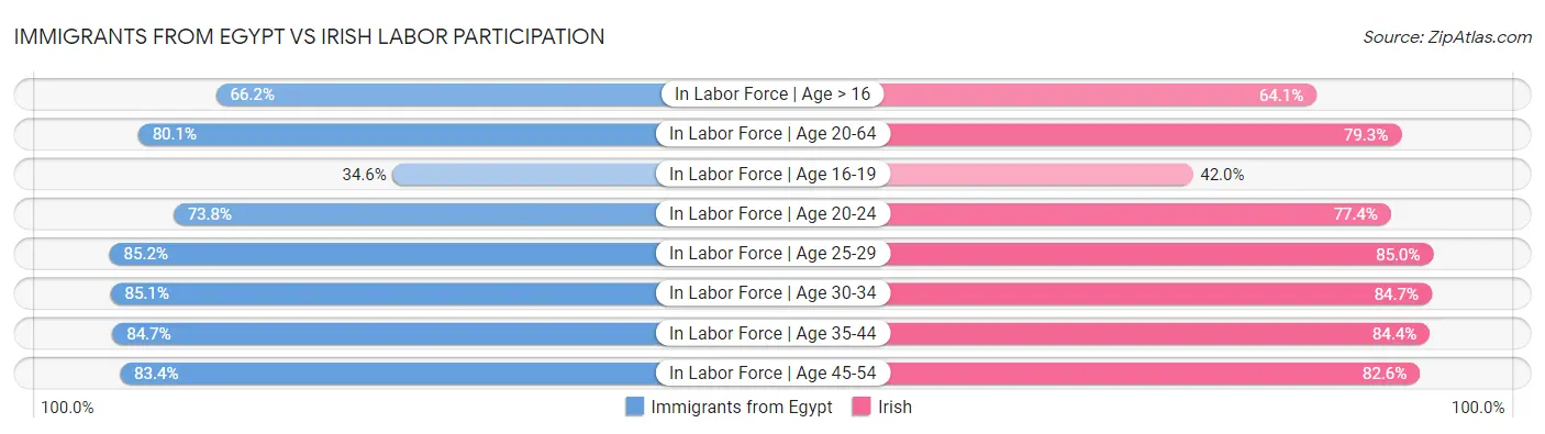 Immigrants from Egypt vs Irish Labor Participation
