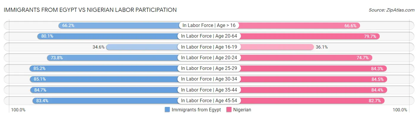 Immigrants from Egypt vs Nigerian Labor Participation