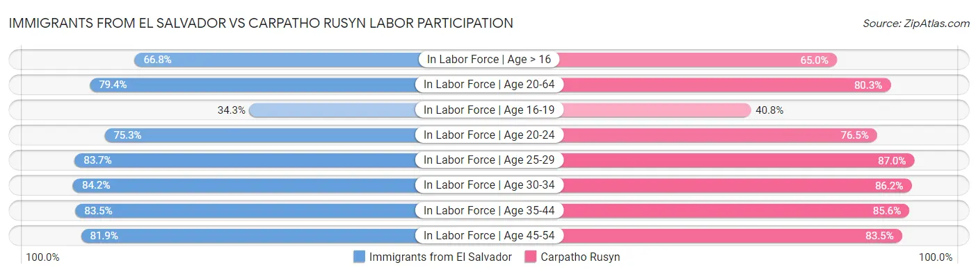 Immigrants from El Salvador vs Carpatho Rusyn Labor Participation