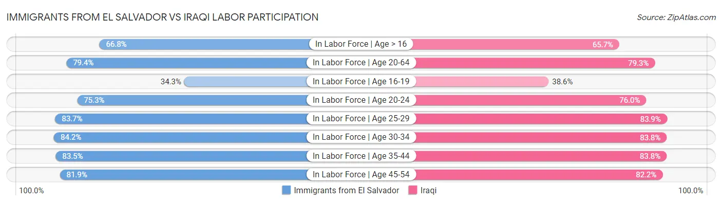 Immigrants from El Salvador vs Iraqi Labor Participation