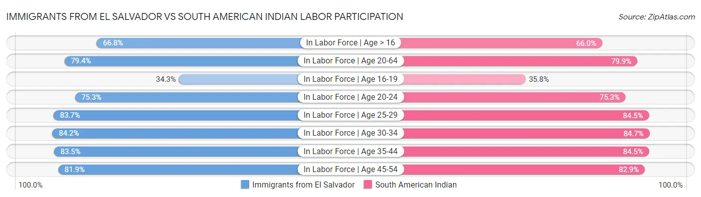 Immigrants from El Salvador vs South American Indian Labor Participation