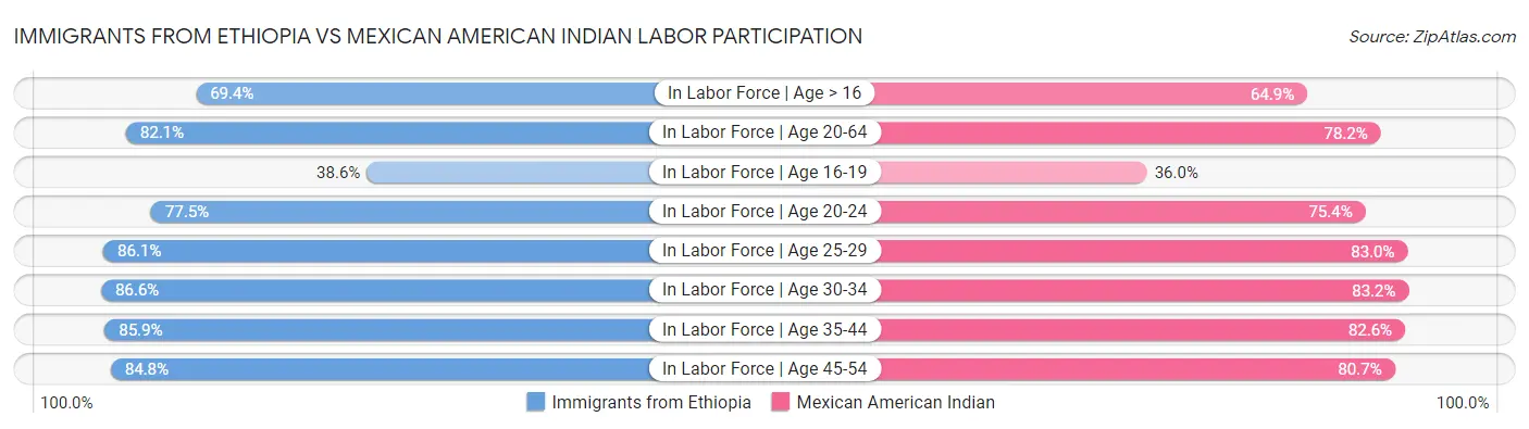 Immigrants from Ethiopia vs Mexican American Indian Labor Participation