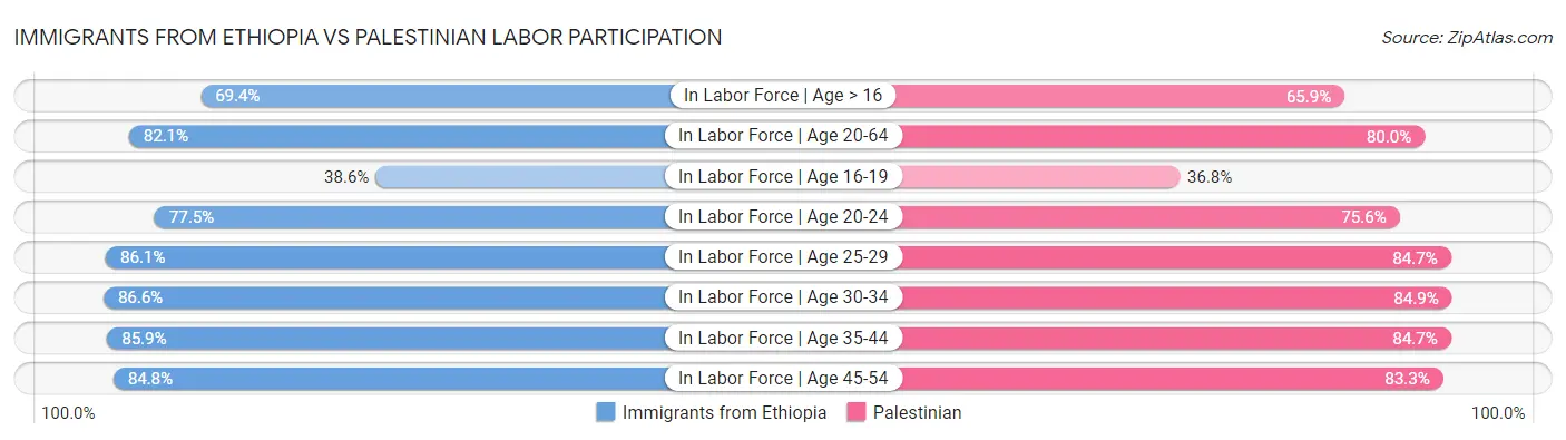 Immigrants from Ethiopia vs Palestinian Labor Participation