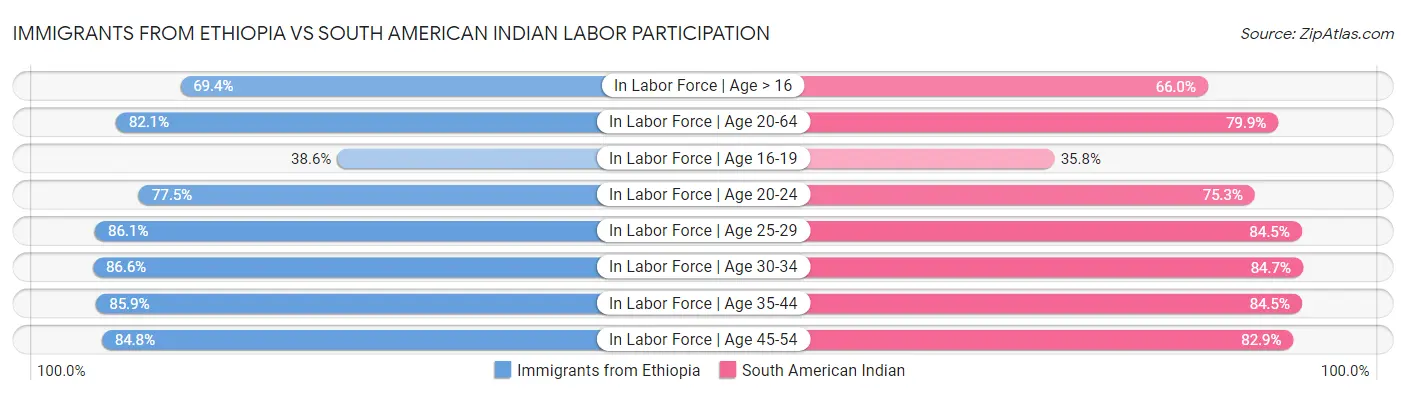 Immigrants from Ethiopia vs South American Indian Labor Participation