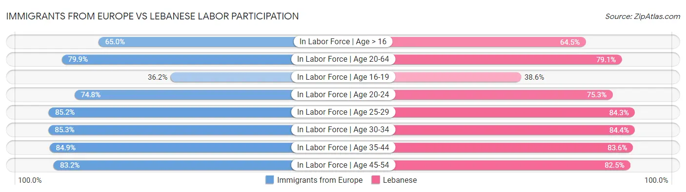 Immigrants from Europe vs Lebanese Labor Participation