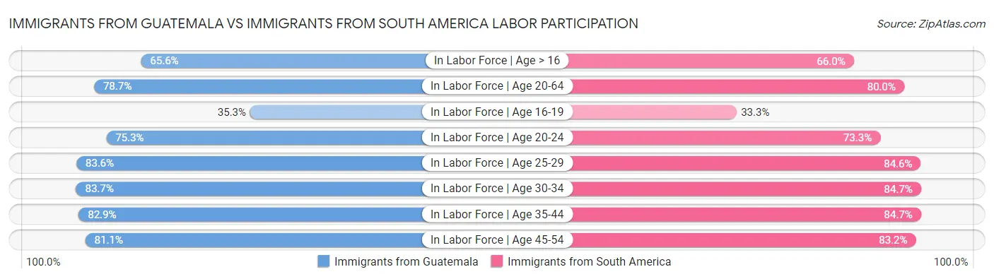 Immigrants from Guatemala vs Immigrants from South America Labor Participation