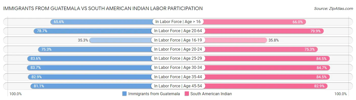Immigrants from Guatemala vs South American Indian Labor Participation