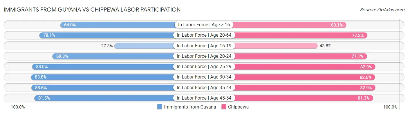 Immigrants from Guyana vs Chippewa Labor Participation