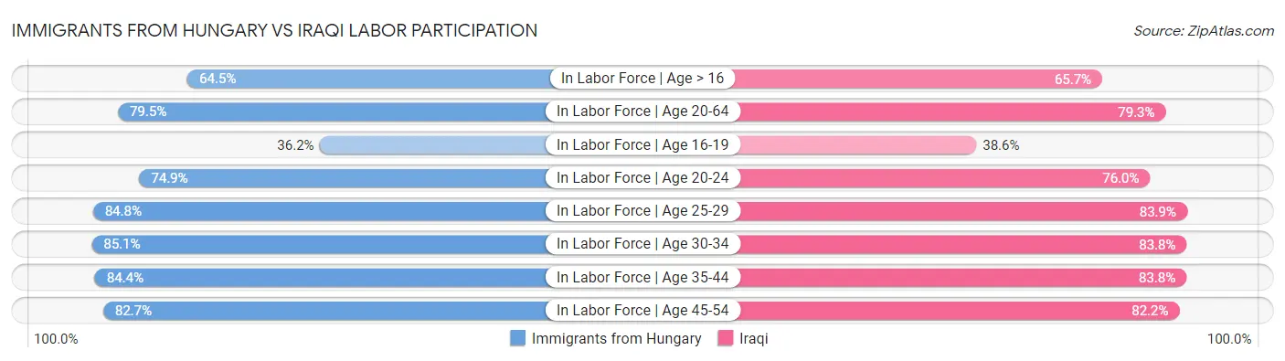 Immigrants from Hungary vs Iraqi Labor Participation
