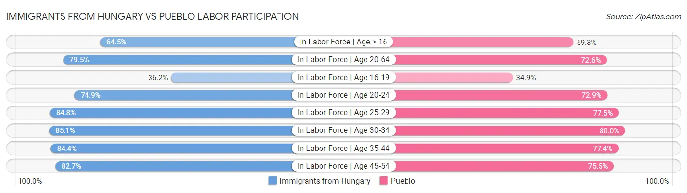 Immigrants from Hungary vs Pueblo Labor Participation