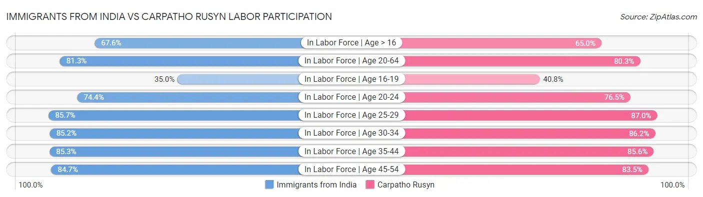 Immigrants from India vs Carpatho Rusyn Labor Participation