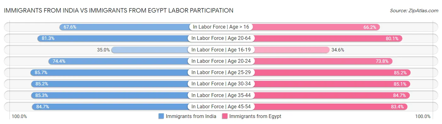 Immigrants from India vs Immigrants from Egypt Labor Participation
