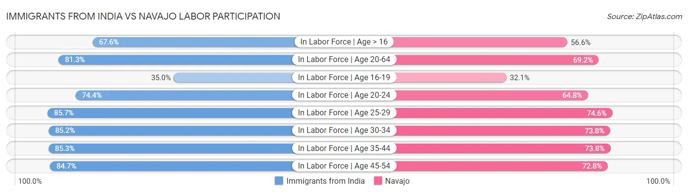 Immigrants from India vs Navajo Labor Participation