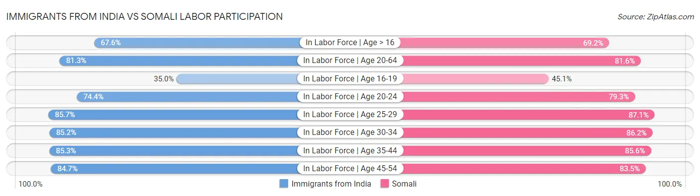 Immigrants from India vs Somali Labor Participation