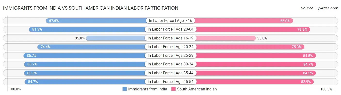 Immigrants from India vs South American Indian Labor Participation