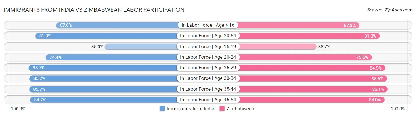 Immigrants from India vs Zimbabwean Labor Participation