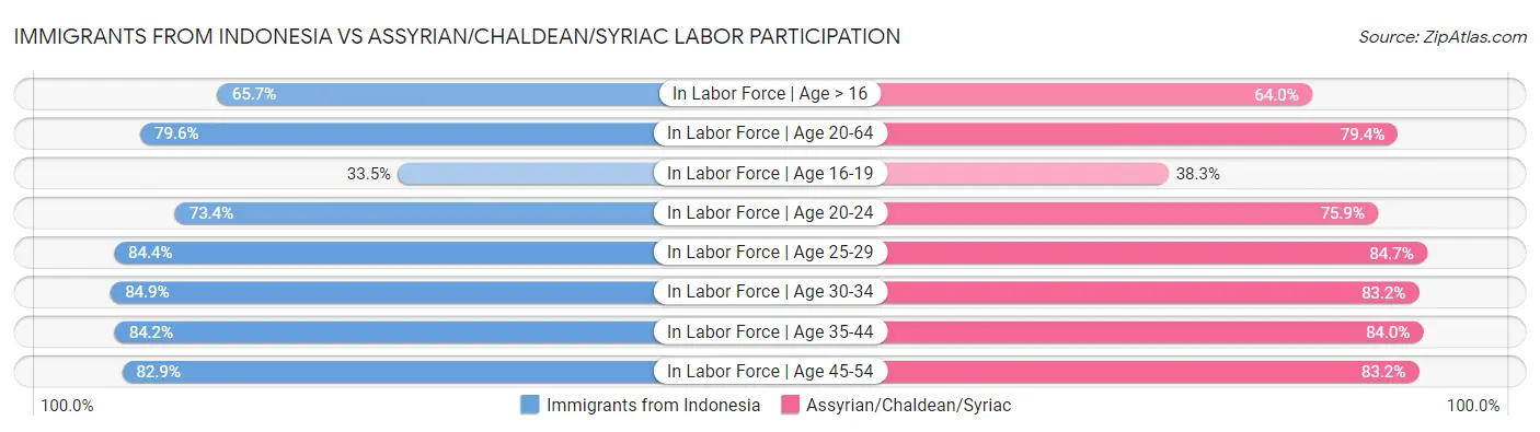 Immigrants from Indonesia vs Assyrian/Chaldean/Syriac Labor Participation