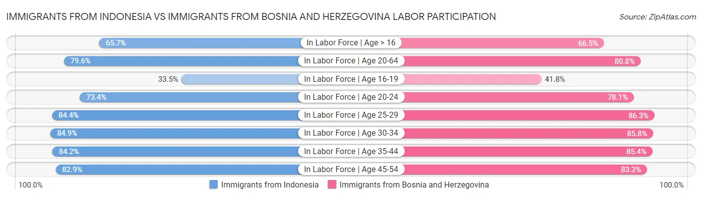 Immigrants from Indonesia vs Immigrants from Bosnia and Herzegovina Labor Participation