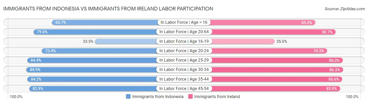 Immigrants from Indonesia vs Immigrants from Ireland Labor Participation