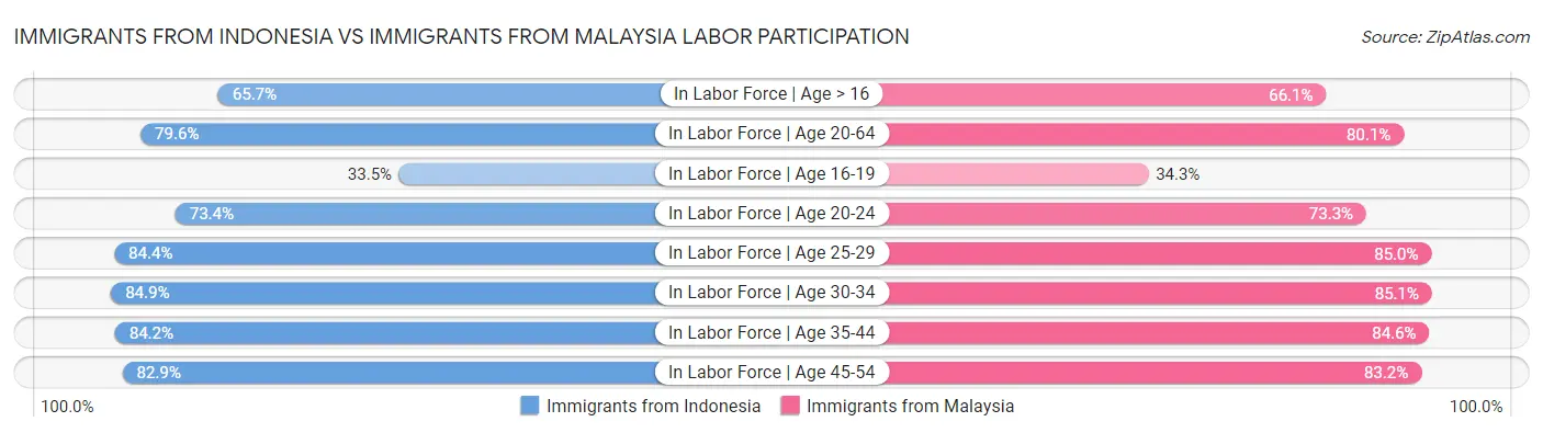 Immigrants from Indonesia vs Immigrants from Malaysia Labor Participation