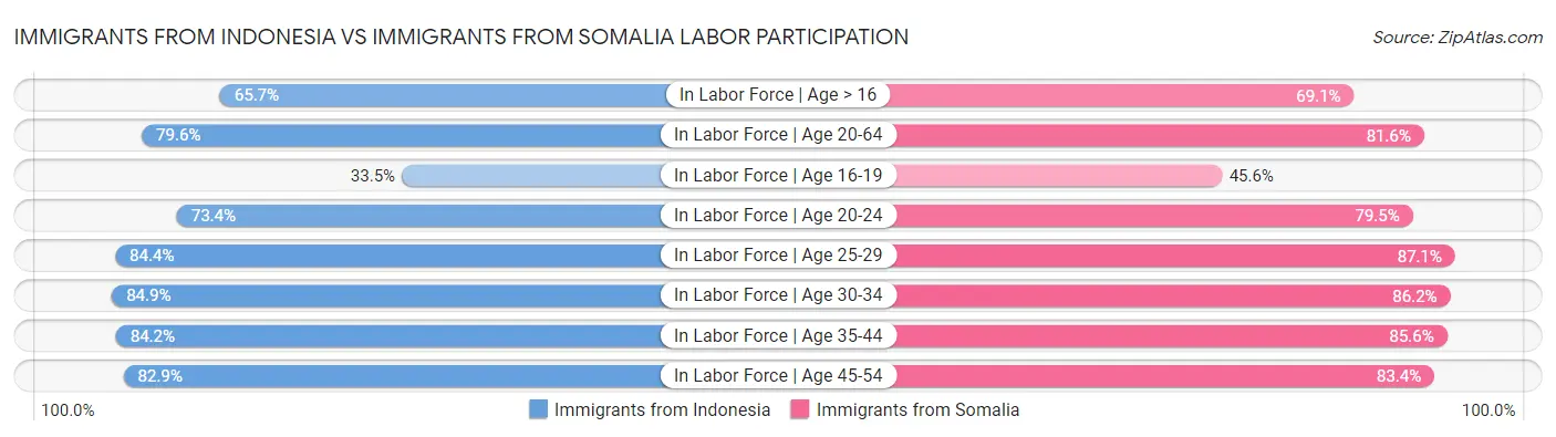 Immigrants from Indonesia vs Immigrants from Somalia Labor Participation