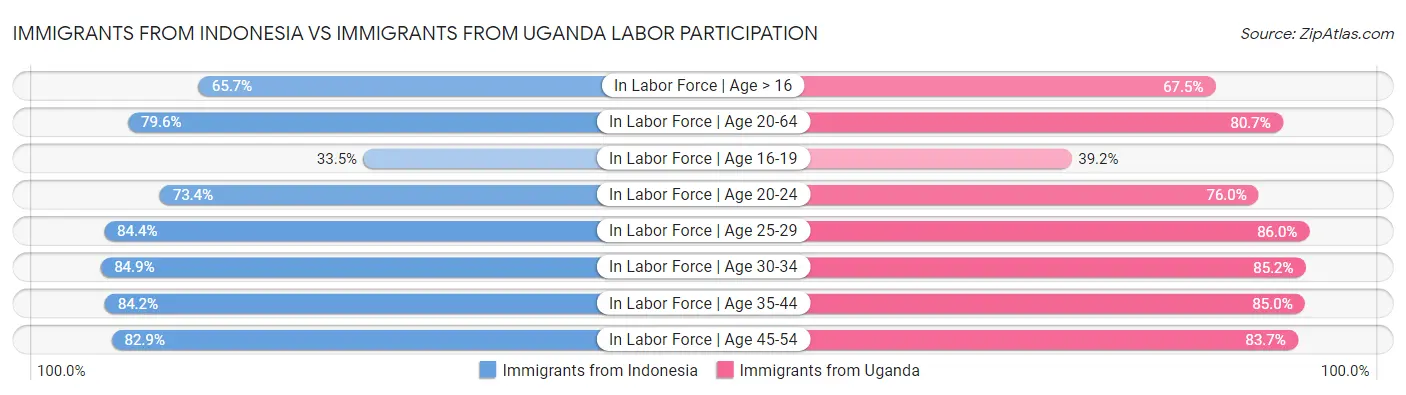 Immigrants from Indonesia vs Immigrants from Uganda Labor Participation