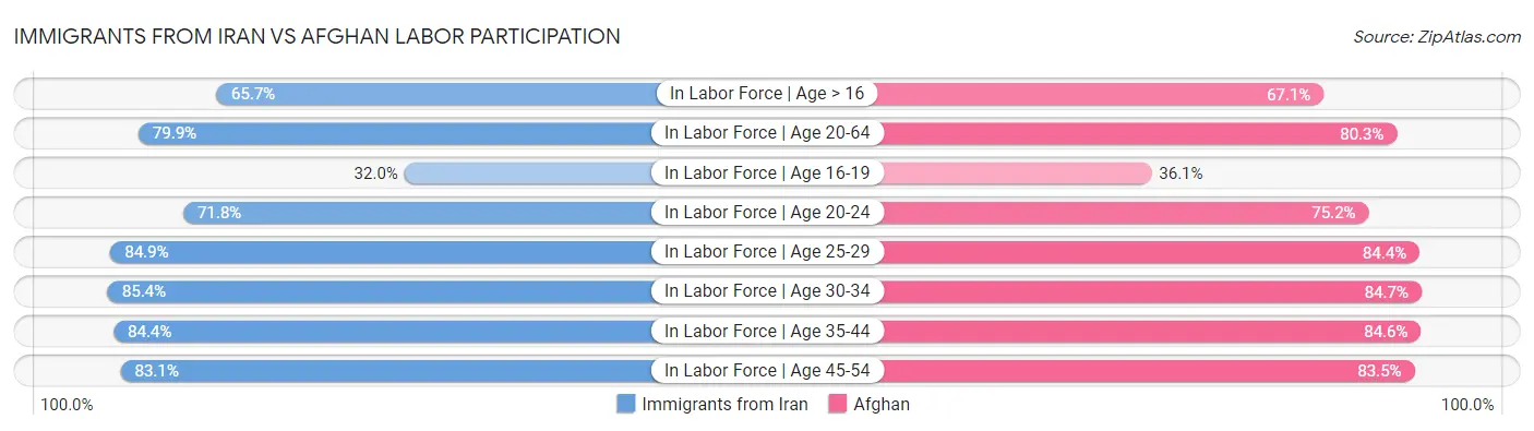 Immigrants from Iran vs Afghan Labor Participation