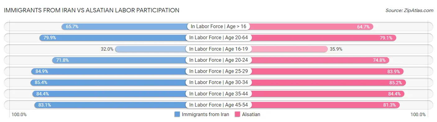 Immigrants from Iran vs Alsatian Labor Participation