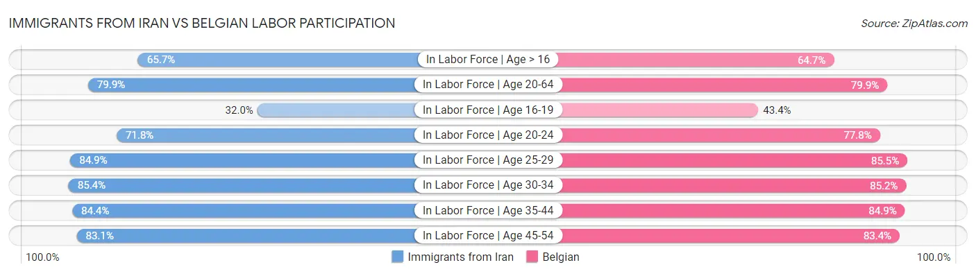 Immigrants from Iran vs Belgian Labor Participation