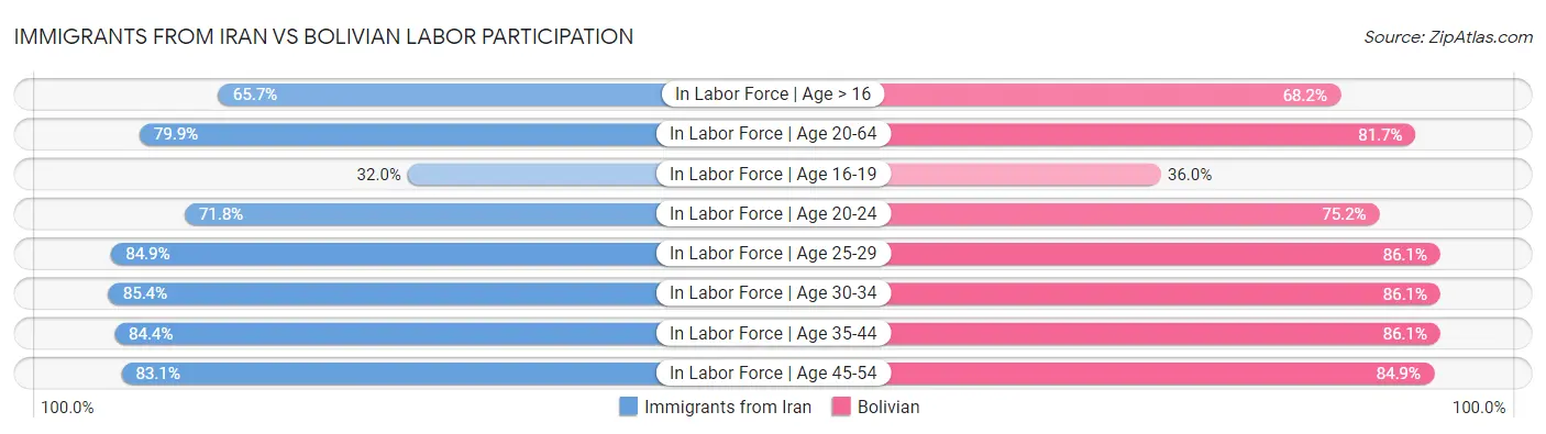 Immigrants from Iran vs Bolivian Labor Participation