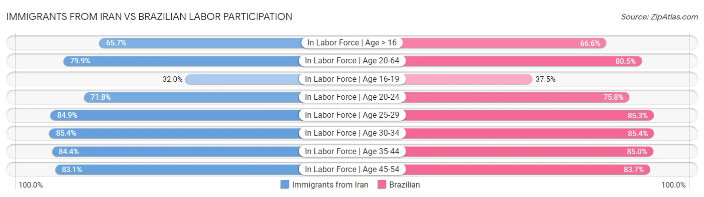 Immigrants from Iran vs Brazilian Labor Participation