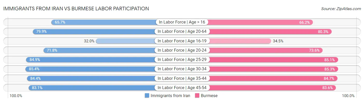 Immigrants from Iran vs Burmese Labor Participation