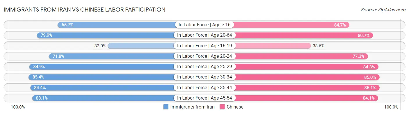 Immigrants from Iran vs Chinese Labor Participation