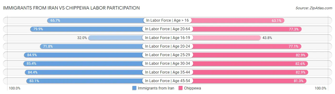 Immigrants from Iran vs Chippewa Labor Participation